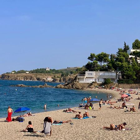 Studio moderne Argeles sur mer.La plage à pieds, Espagne à 30mn Exterior foto